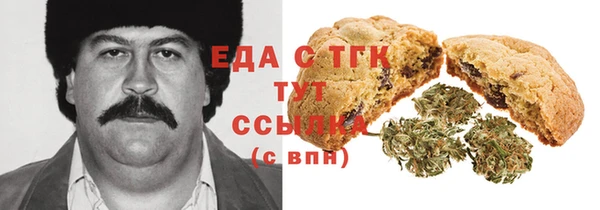 хмурый Алзамай