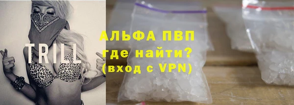 хмурый Алзамай