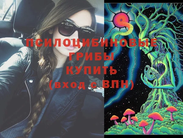 ешки Алексин