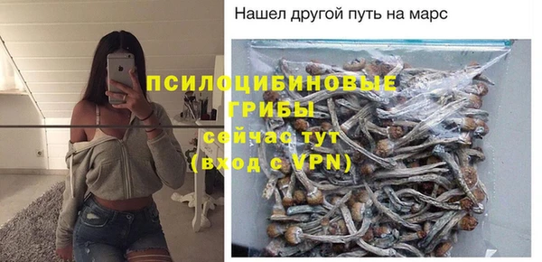 PSILOCYBIN Алексеевка