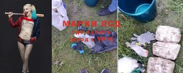 хмурый Алзамай
