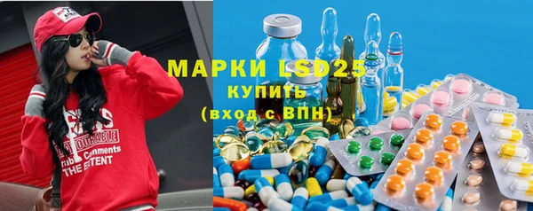 хмурый Алзамай