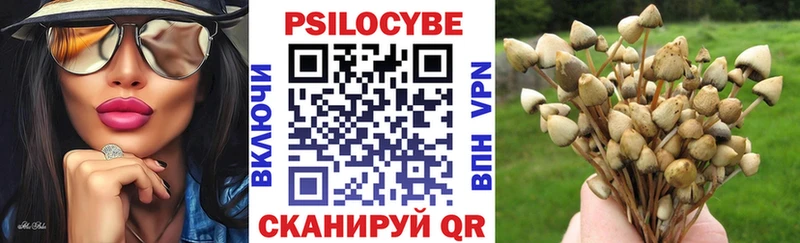Псилоцибиновые грибы Psilocybine cubensis  Данилов 